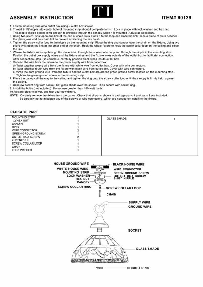 Triarch Indoor Lighting 60129 User manual
