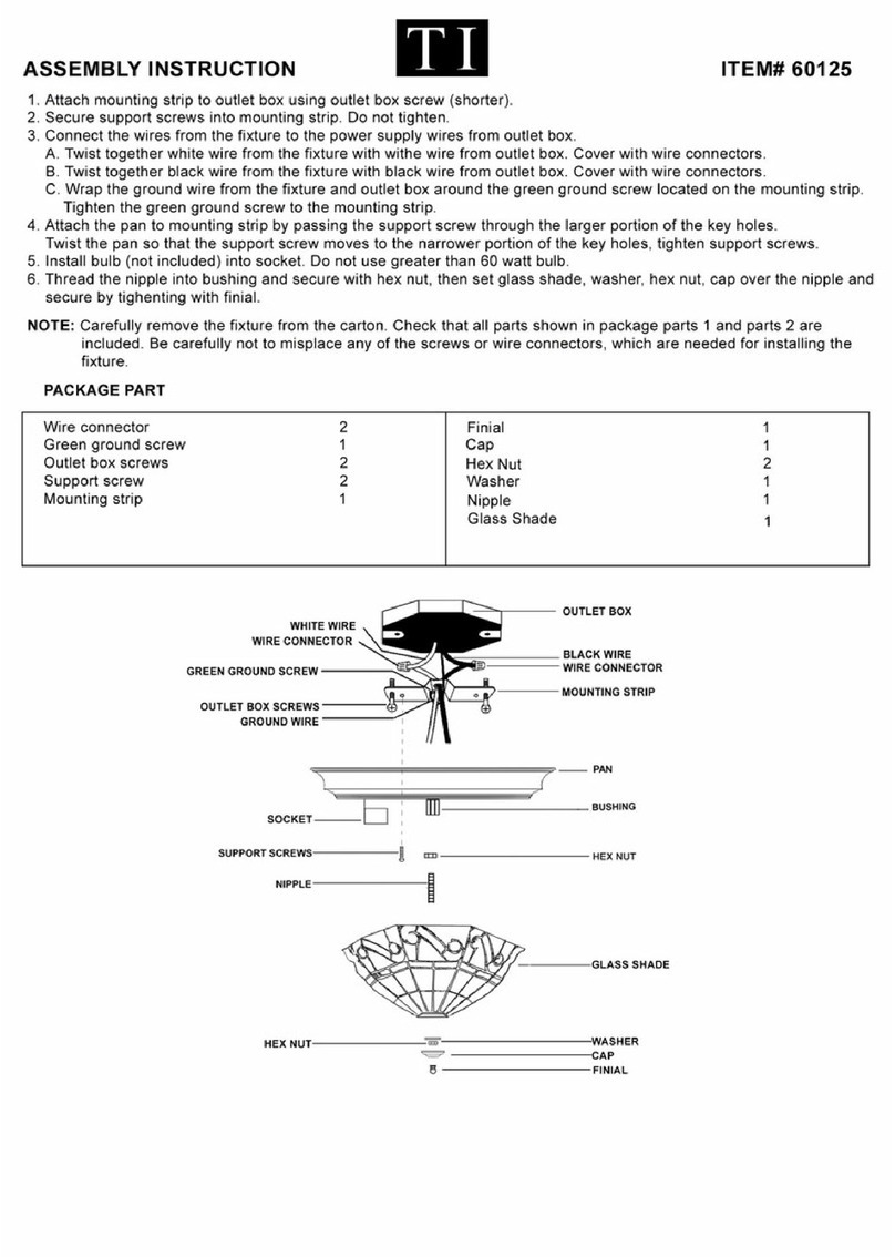 Triarch Indoor Lighting 60125 User manual Triarch Indoor Lighting 60125 User manual