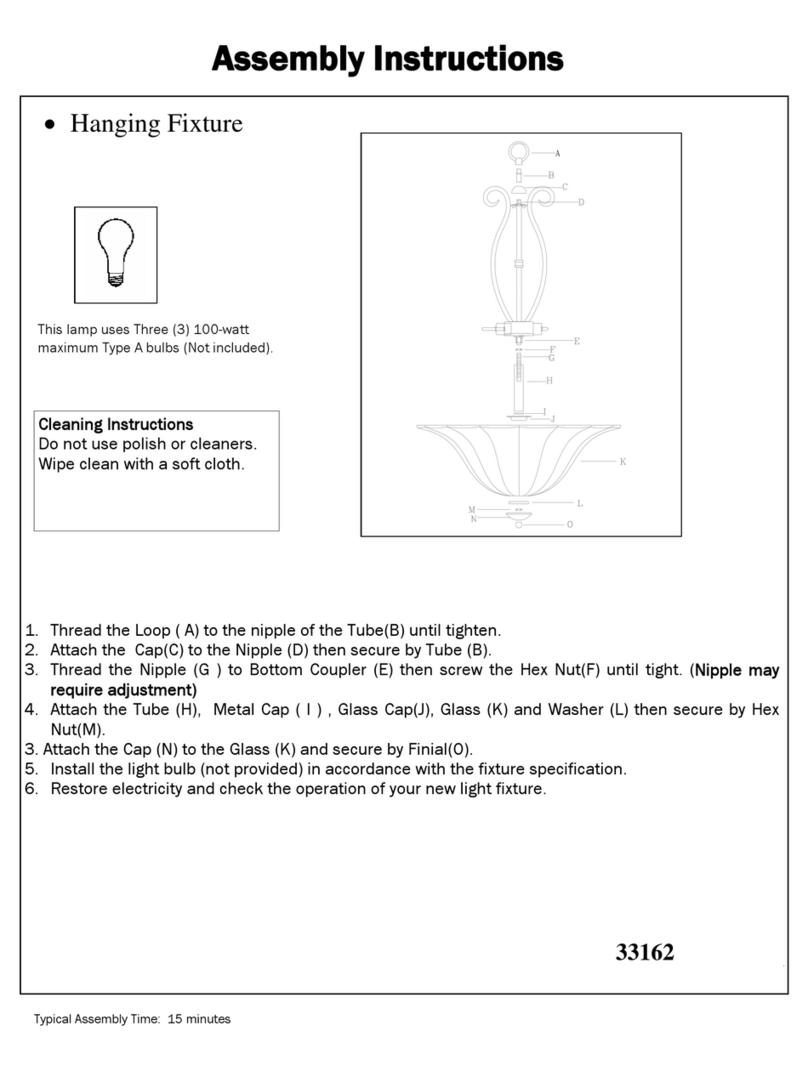 Triarch Indoor Lighting 33162 User manual
