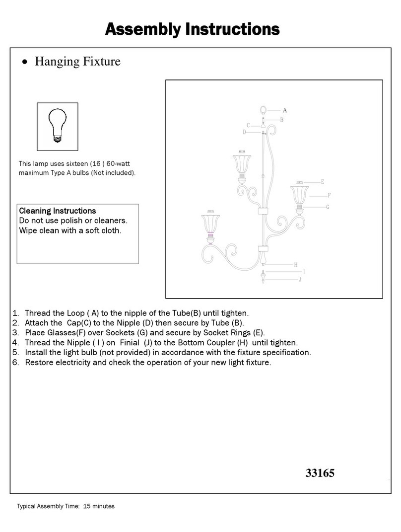 Triarch Indoor Lighting 33165 Assembly instructions