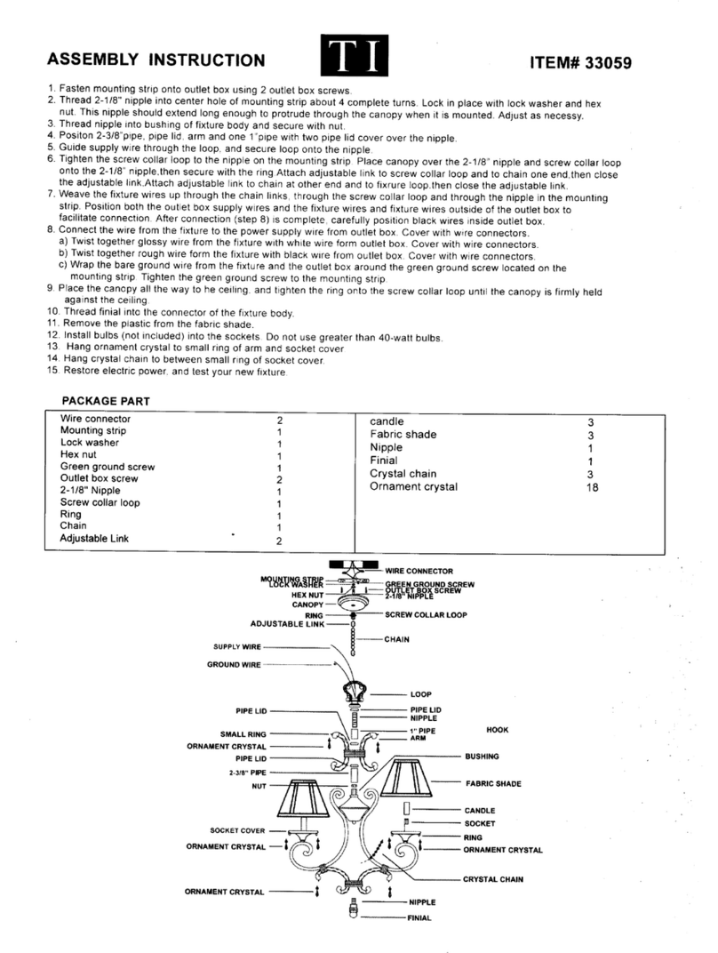 Triarch Indoor Lighting 33059 User manual