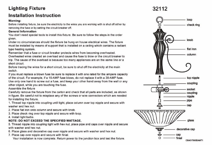 Triarch Lighting Fixture 32112 User manual