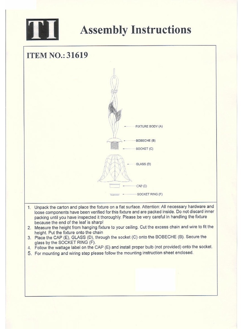 Triarch Indoor Lighting 31619 Assembly instructions
