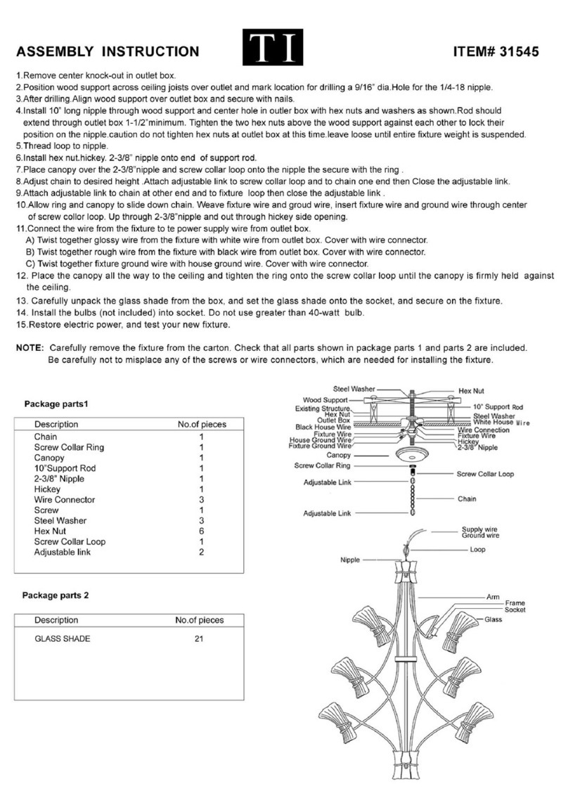 Triarch Indoor Lighting 31545 Assembly instructions