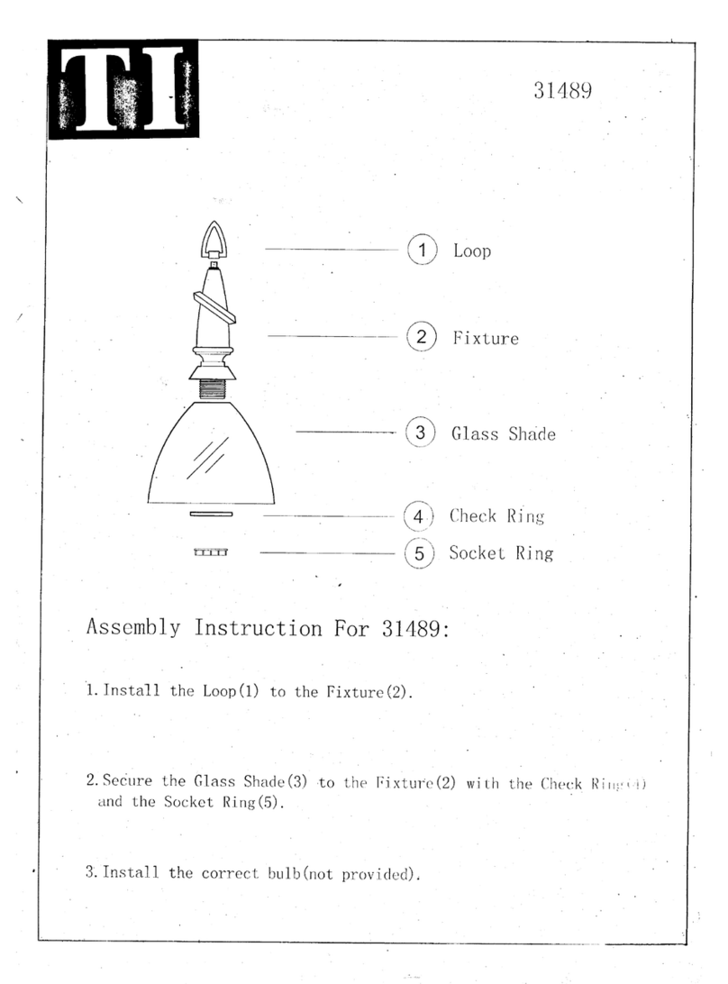 Triarch Indoor Lighting 31489 User manual