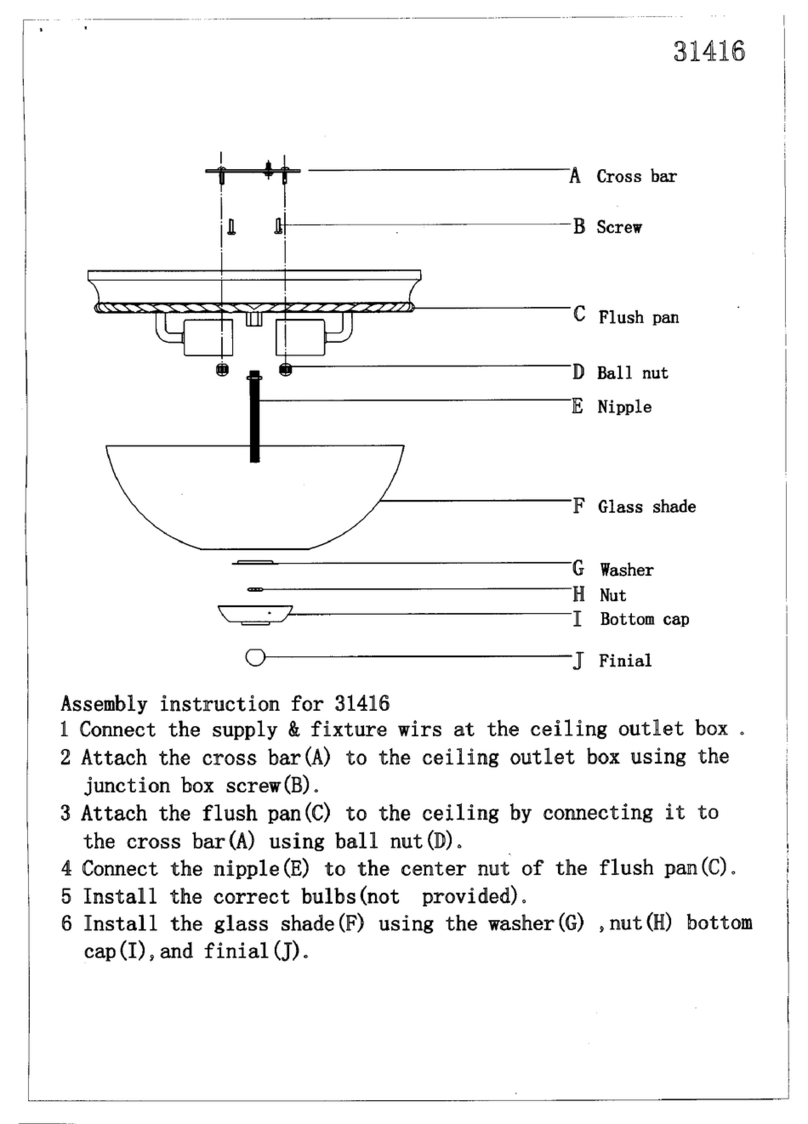 Triarch Indoor Lighting 31416 Assembly instruction