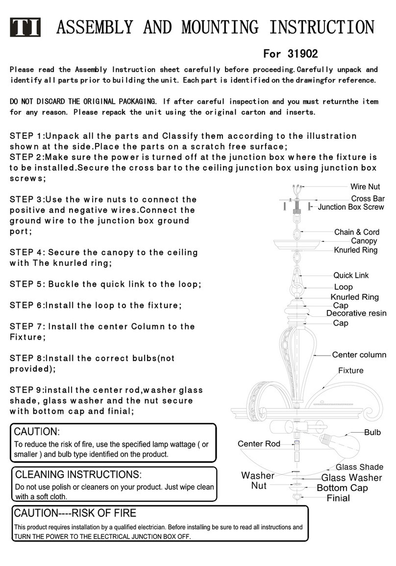 Triarch Indoor Lighting 31902 Instruction