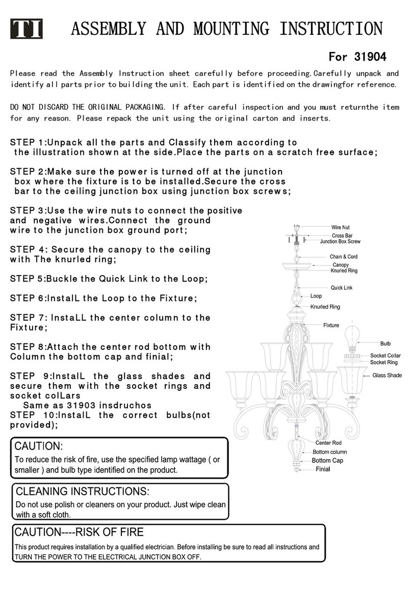 Triarch Indoor Lighting 31904 Assembly and mounting instructions