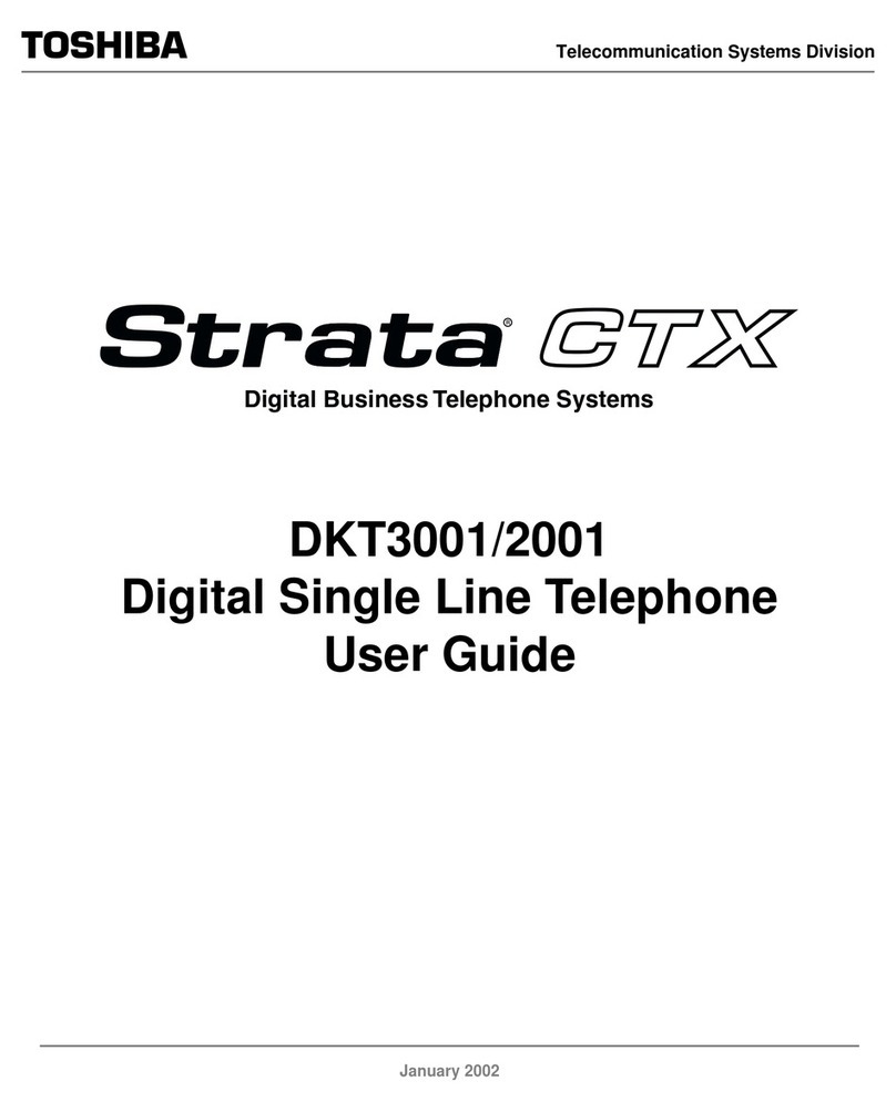 Toshiba DKT3001/2001 User manual