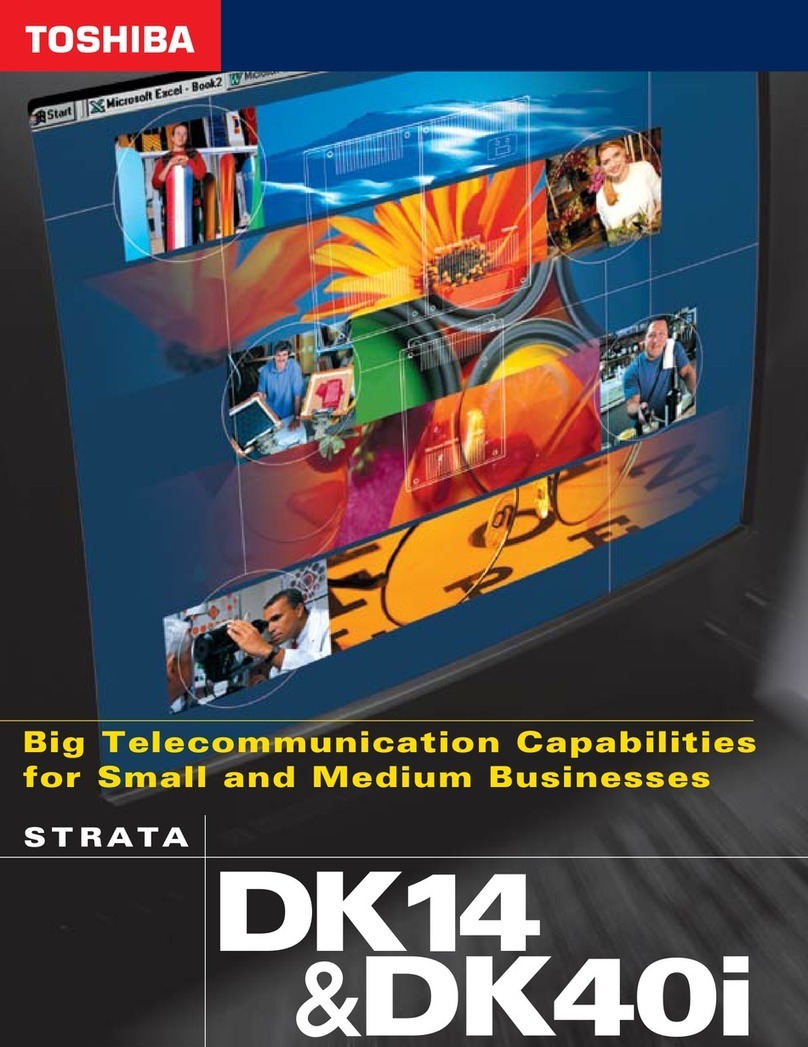 Toshiba Strata DK14 User manual