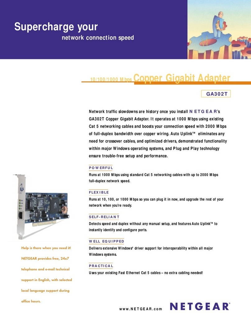 NETGEAR GA302T Brochure & specs