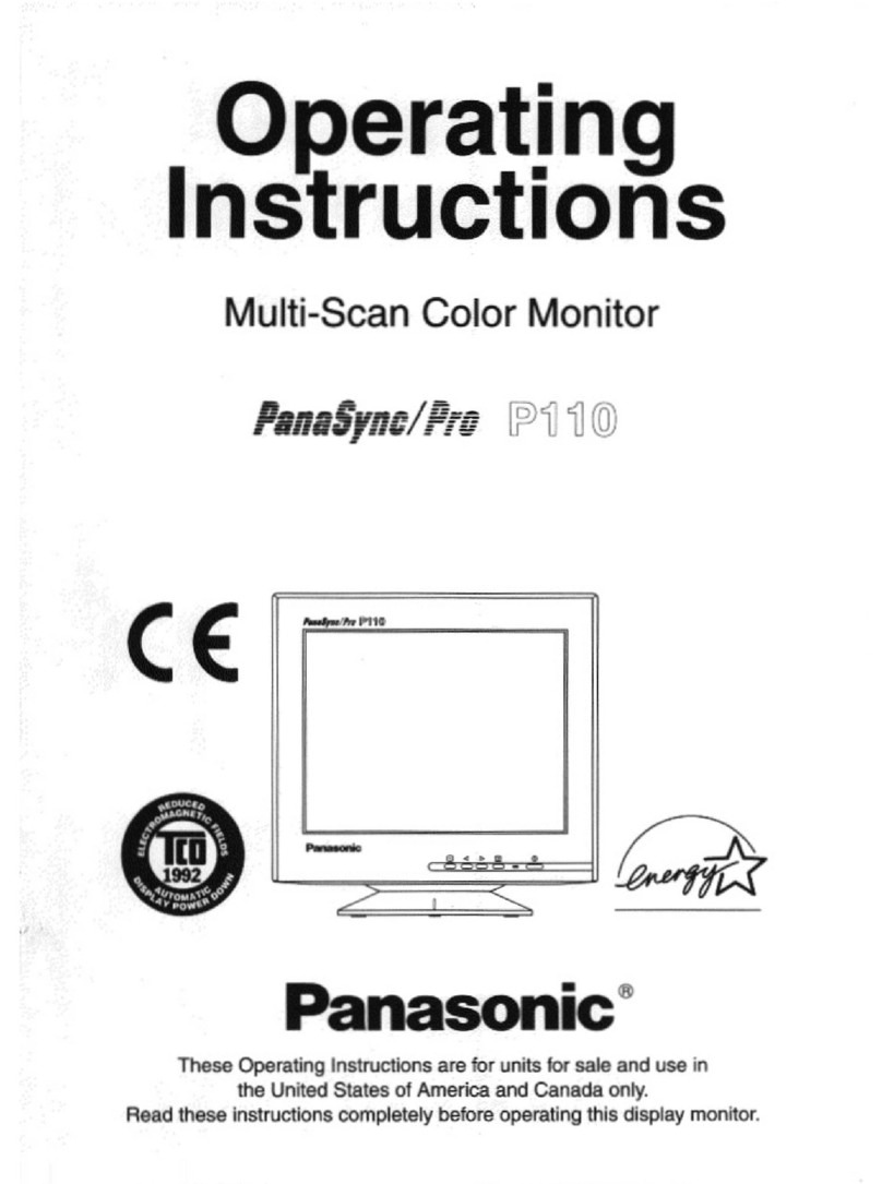 Panasonic PANASYNC P110 user guide