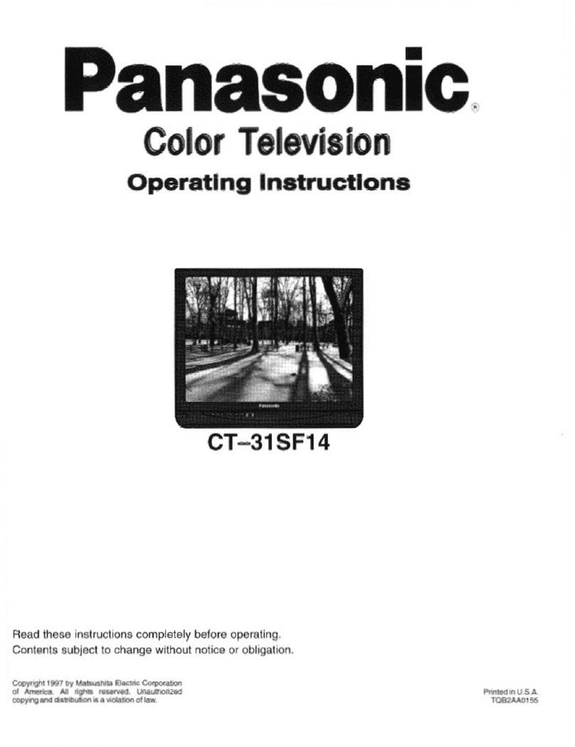 Panasonic CT-31SF14V User manual