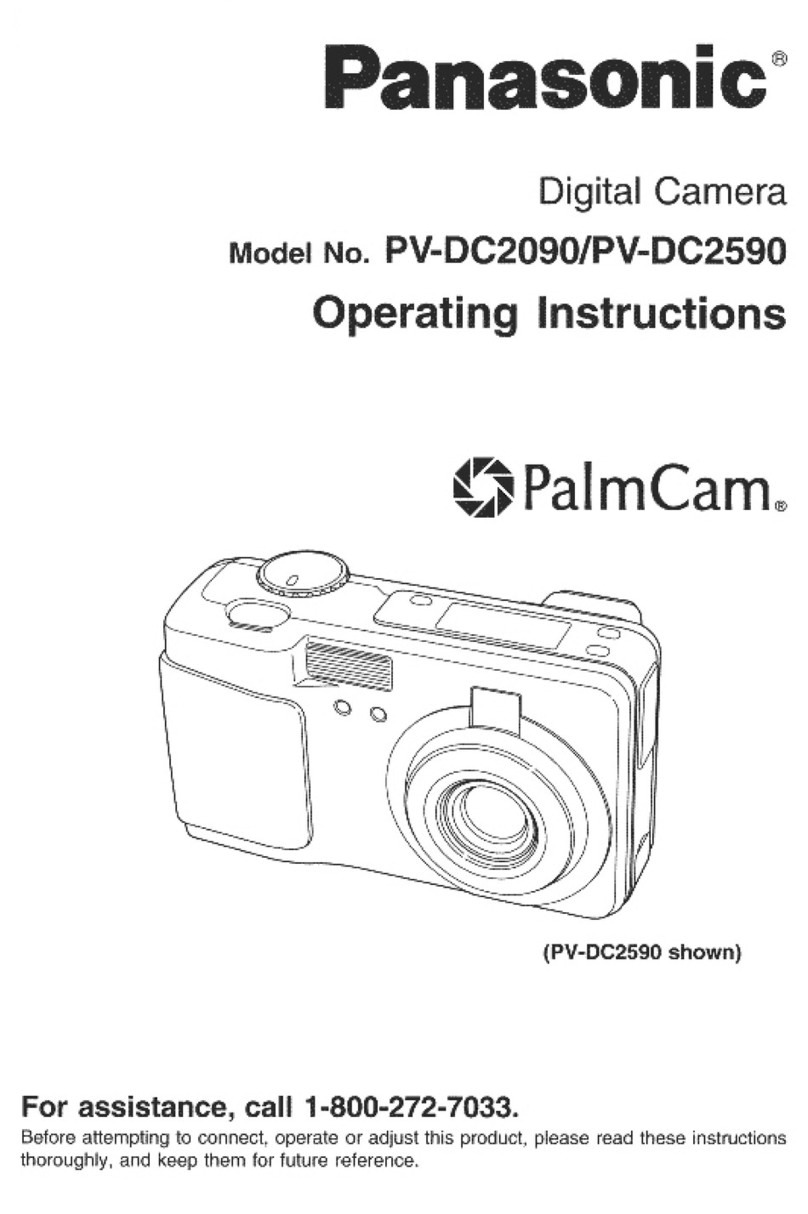 Panasonic PalmCam PV-DC2090 User manual