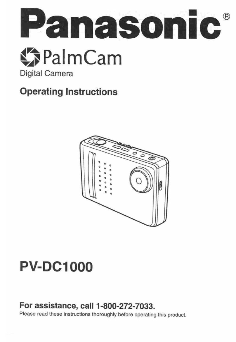 Panasonic PalmCam PV-DC1000 User manual