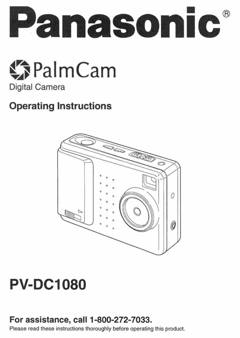 Panasonic PalmCam PV-DC1080 User manual