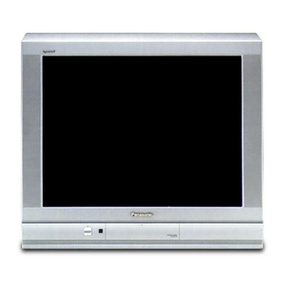 Panasonic Viera TC-29P22R User manual