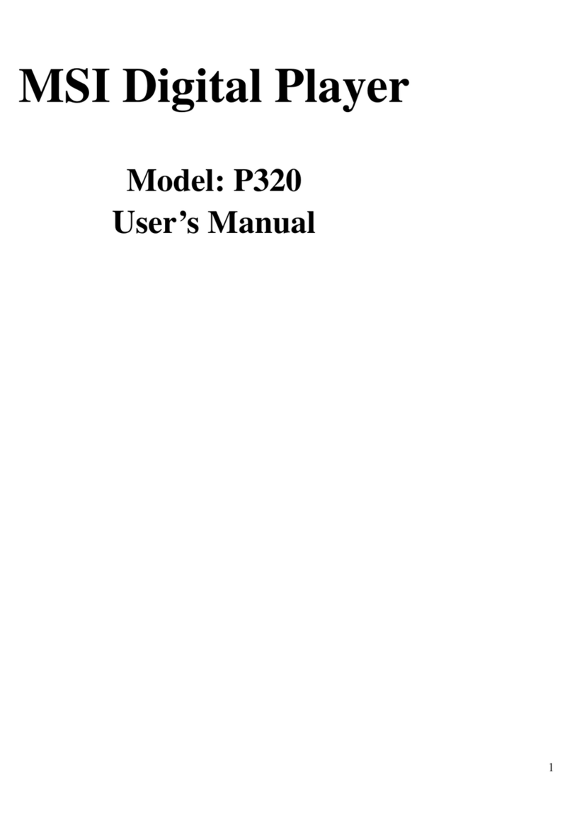 MSI P320 user manual