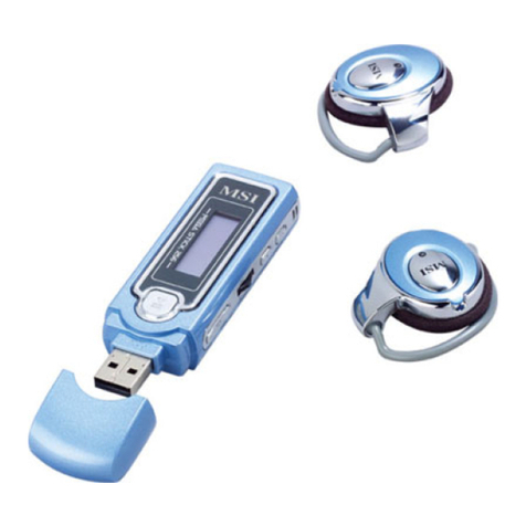 MSI MEGA Stick 256 user guide MSI MEGA Stick 256 user guide