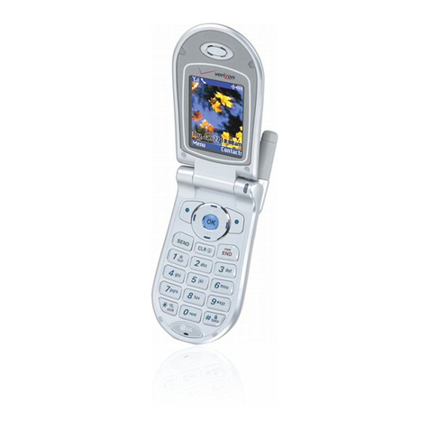 LG VX4500 brochure