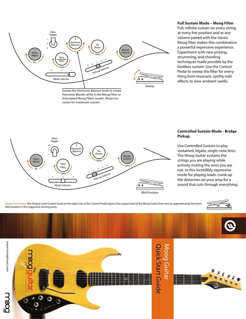 Moog Guitar User manual