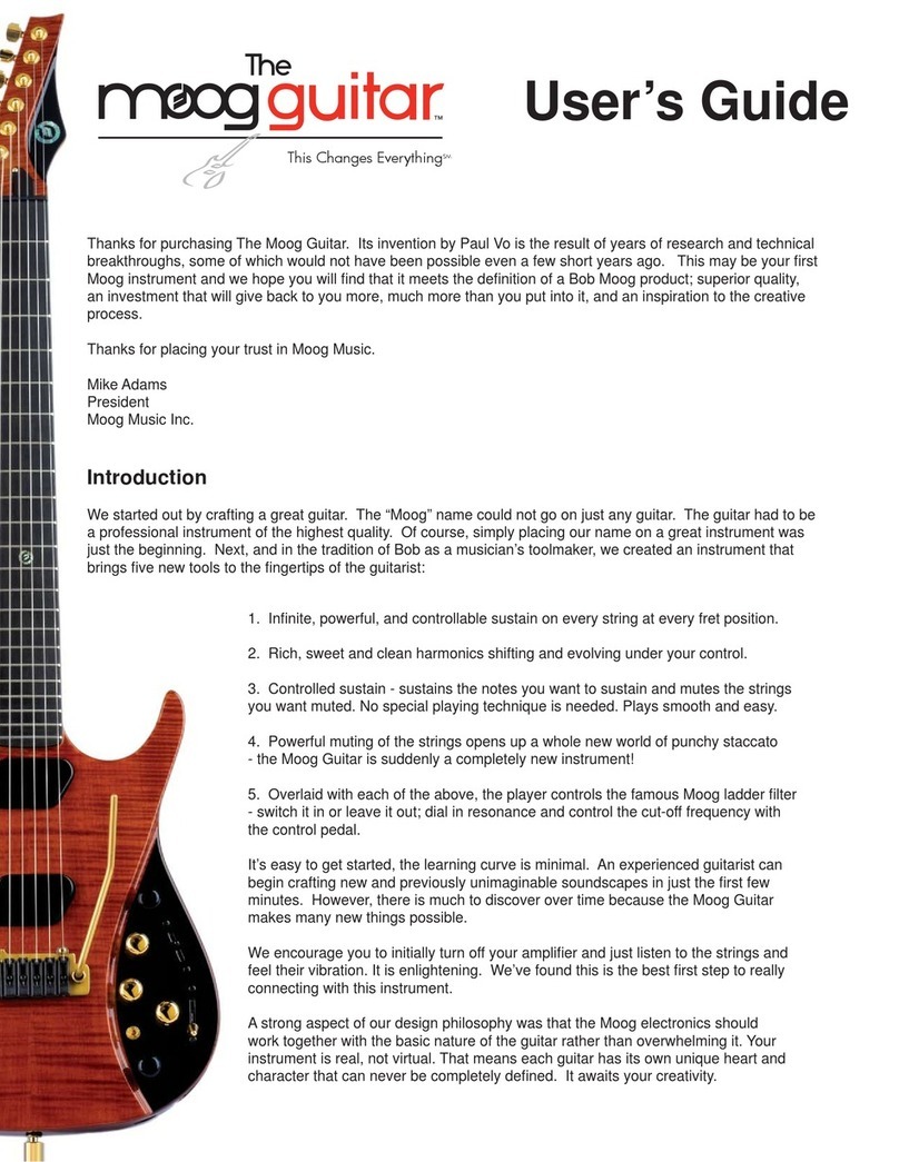 Moog Guitar User manual