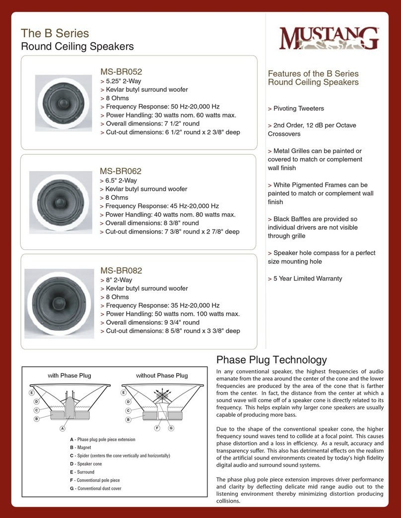 Mustang MS-BRO52 Specifications