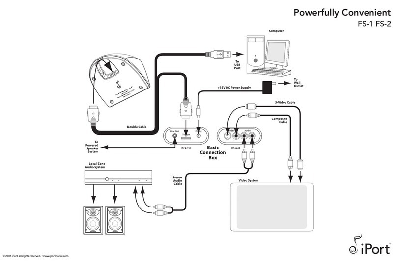 iPort FS-1 Connection guide