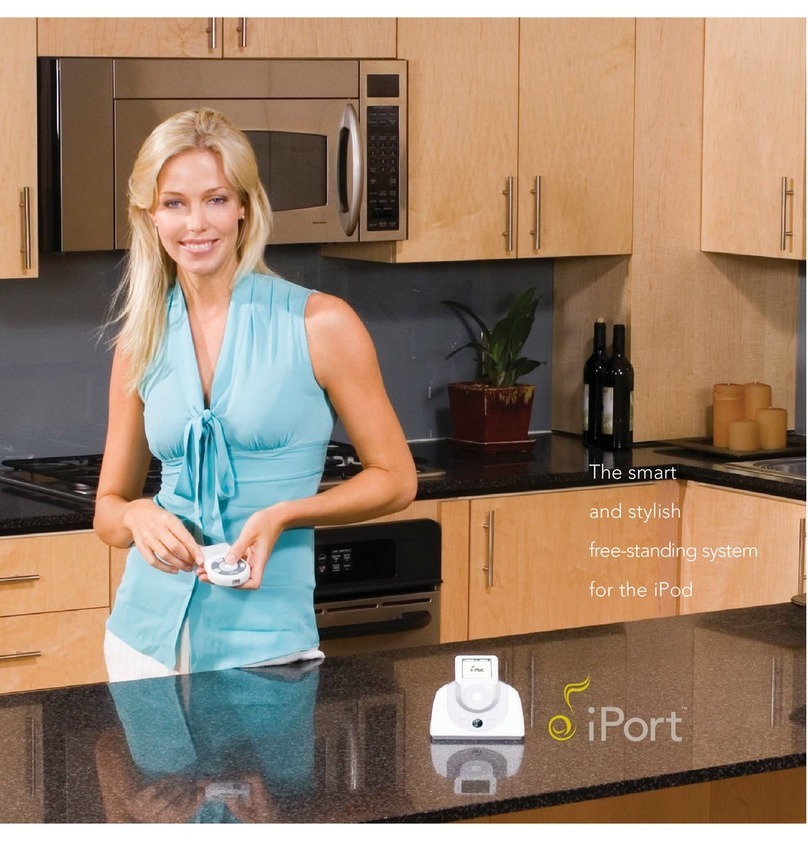 iPort FS-1 User manual