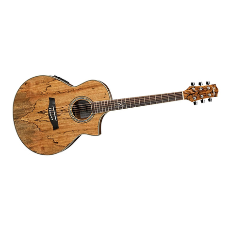 Ibanez Ambiance Series A200E brochure
