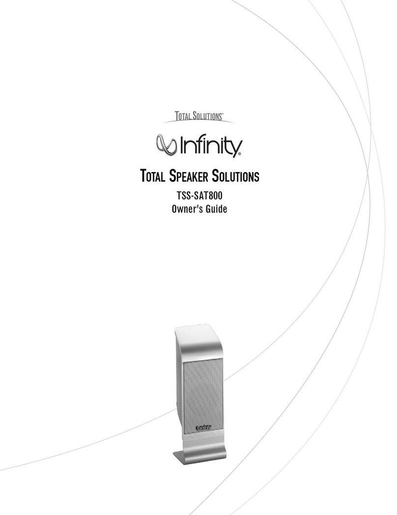 Infinity Total Solutions TSS-SAT800 owner's guide