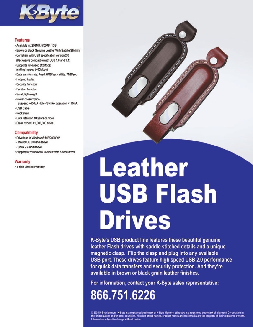 K-Byte Leather 1GB Specifications