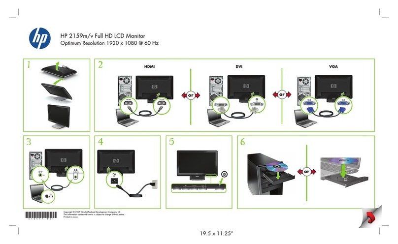 HP 2159v User manual