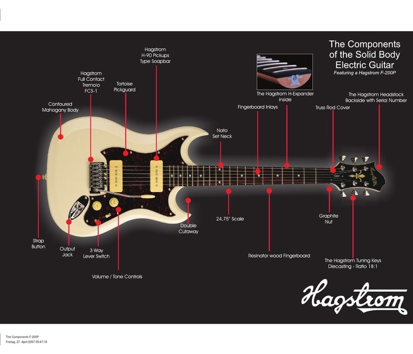 Hagstrom F-200P Product View