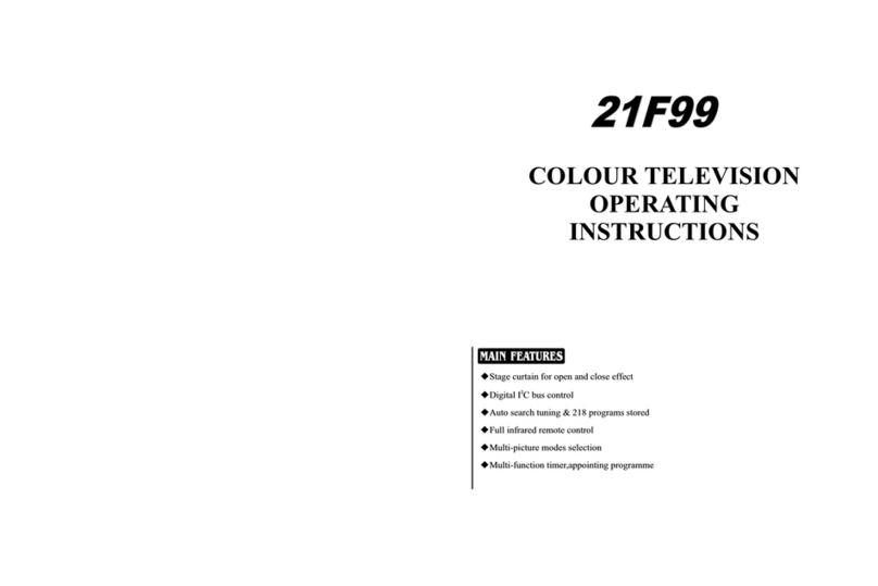 Haier 21F99 User manual