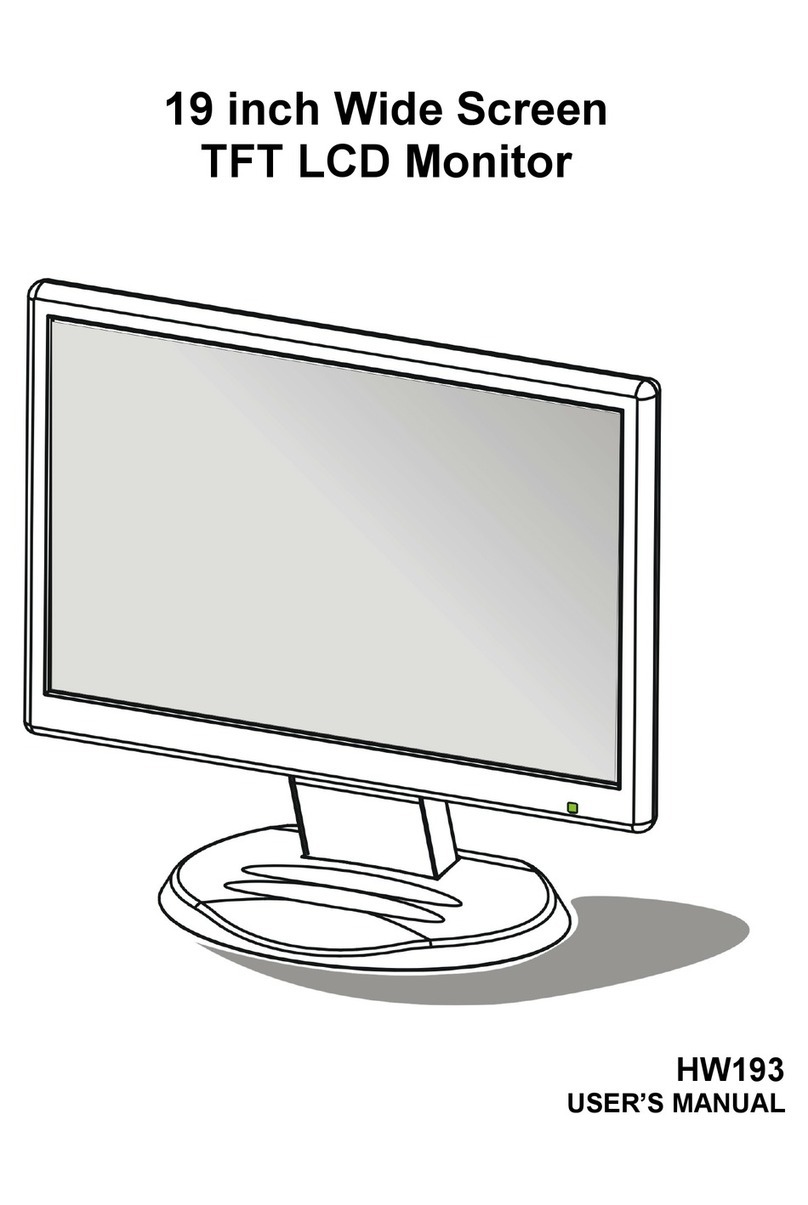 Hanns.G HW193DP User manual