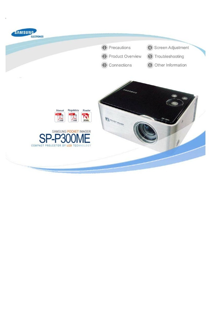 Samsung SP-P300ME User manual