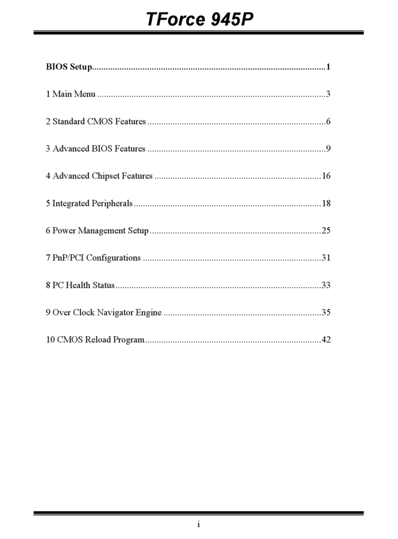 Biostar TFORCE 945P User guide