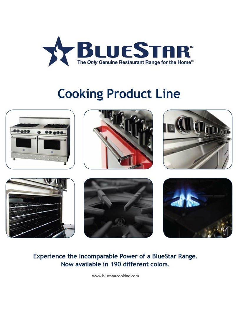 Blue Star RNB36 brochure