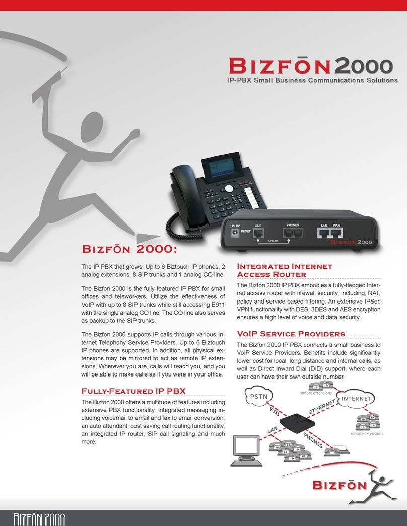 Bizfon 2000 Specifications