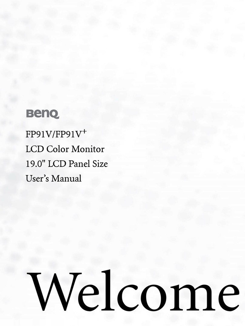 BenQ FP91V - 19" LCD Monitor User manual