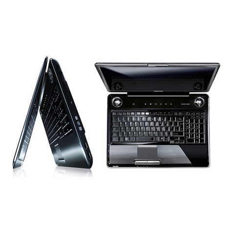 Toshiba Satellite P300 user manual