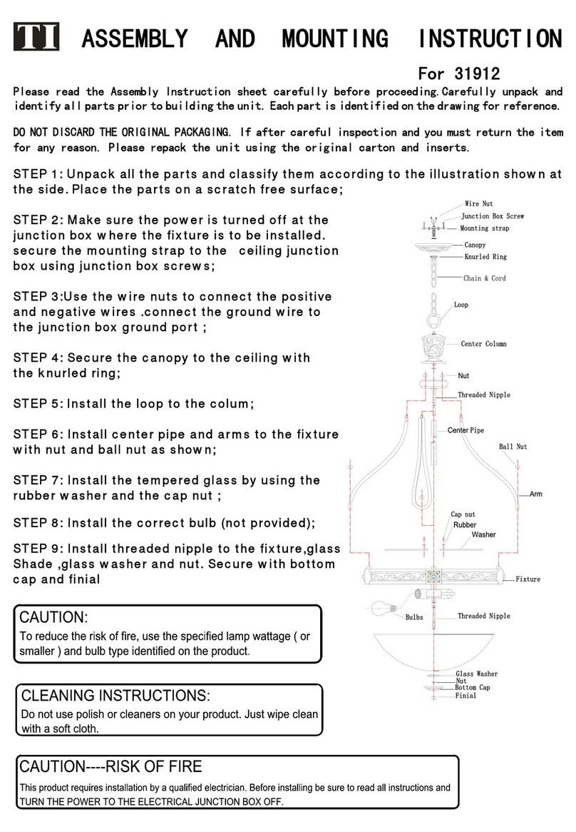 TI 31912 Assembly and mounting instructions