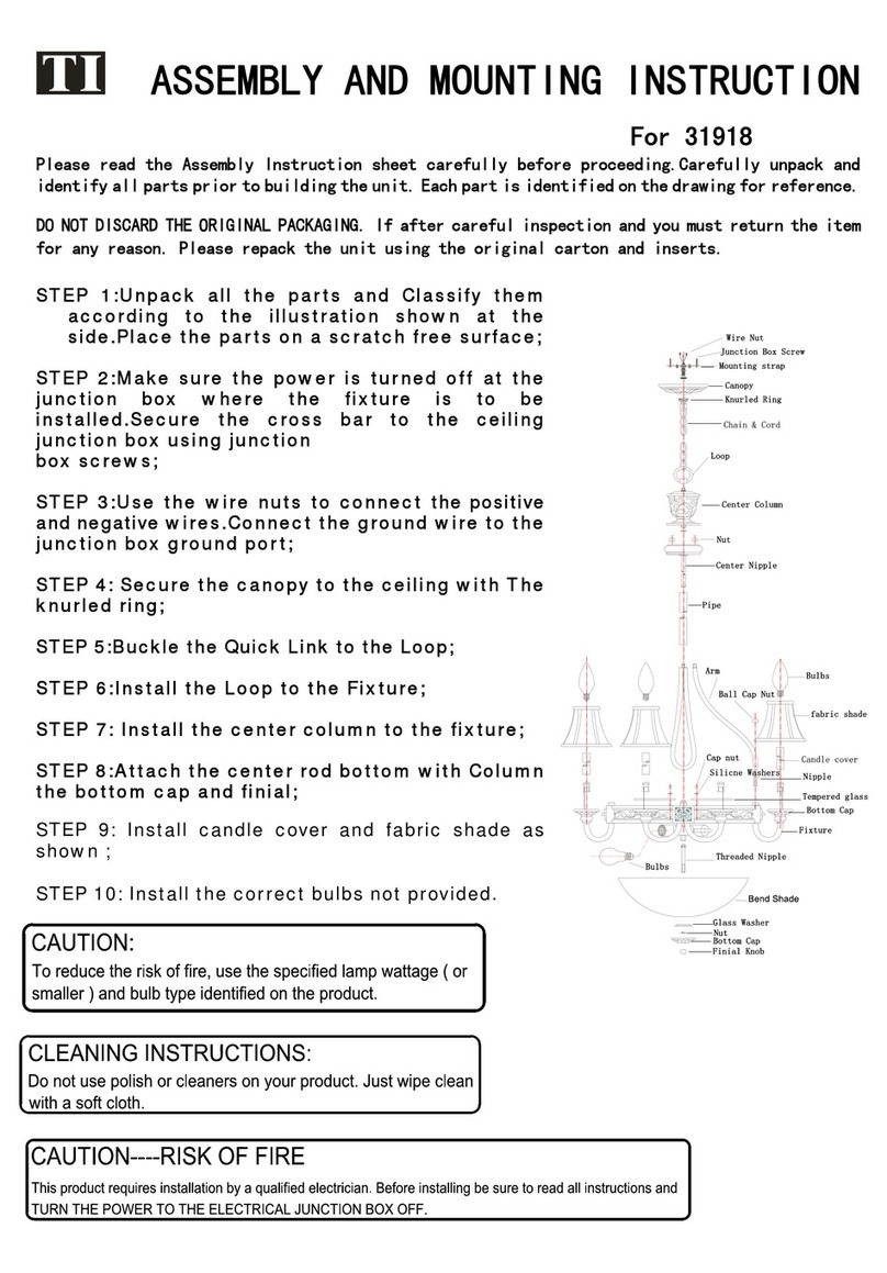 TI 31918 Assembly and mounting instructions
