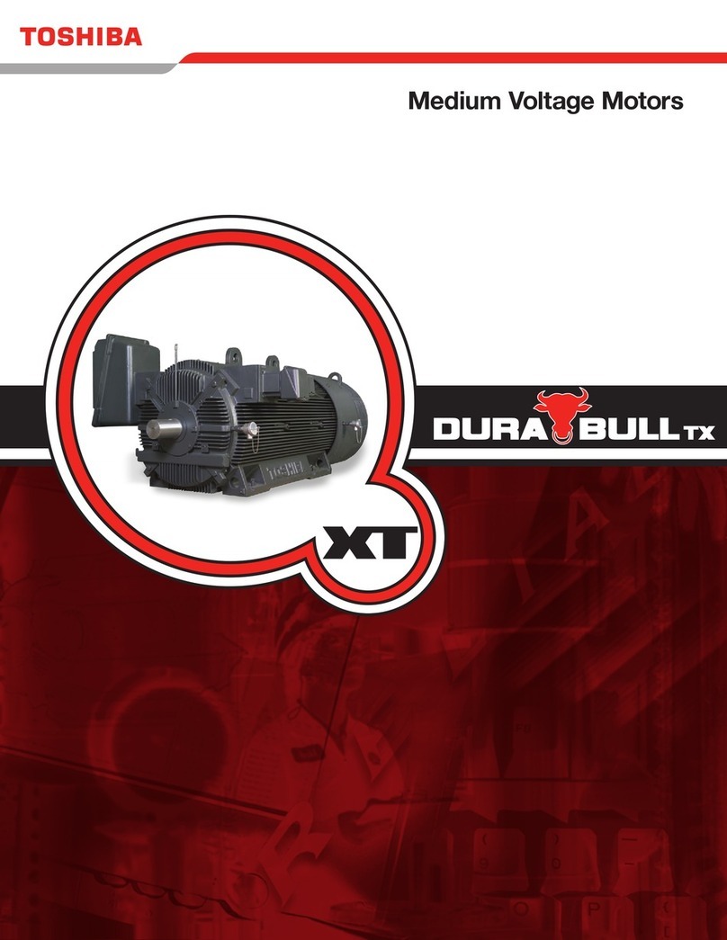Toshiba Dura-Bull TX Brochure & specs