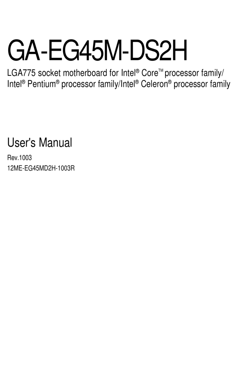 Gigabyte GA-EG45M-DS2H user manual