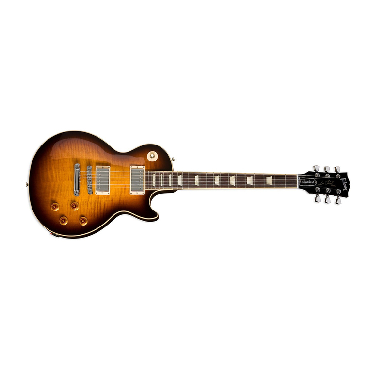 Gibson 1934-L5 User manual