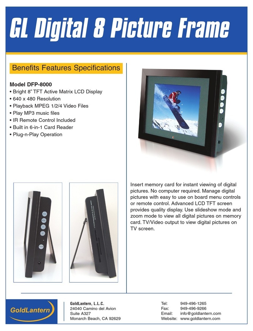 Goldlantern DPF-8000 User manual