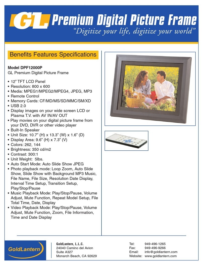 Goldlantern DPF12000P User manual