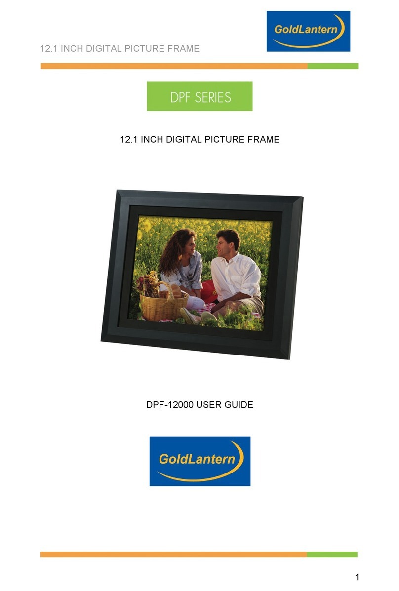Goldlantern DPF-12000 User manual